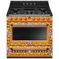 smeg-tr90dgc9.webp